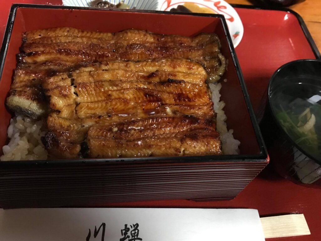 2016川蝉